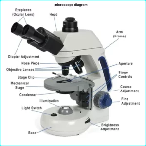 What is Microscope