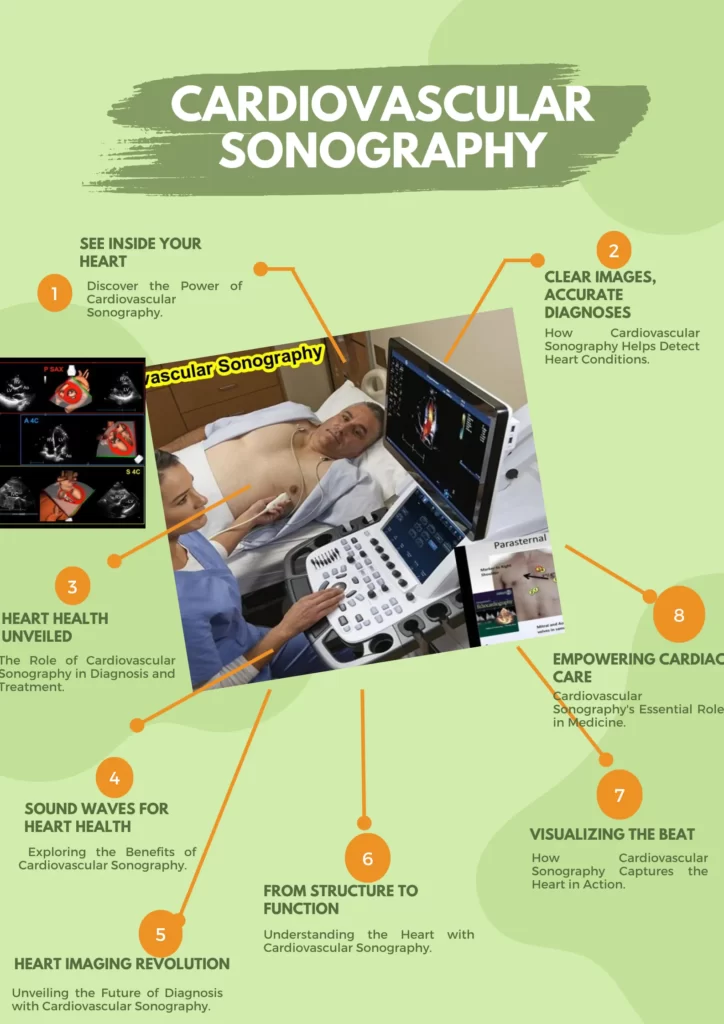What is cardiovascular sonographer?