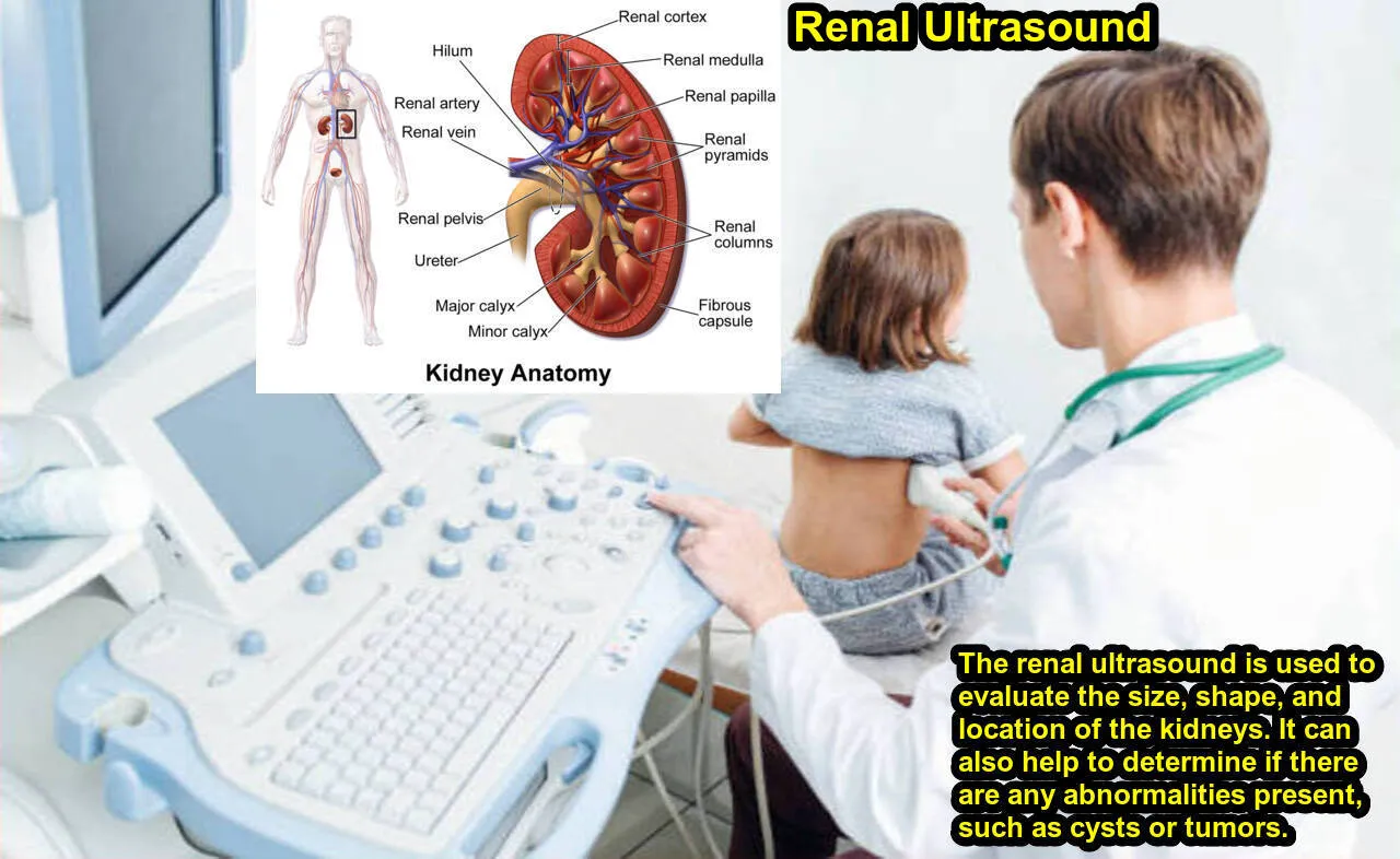 What is a Renal Ultrasound Best Procedure, Preparing 2023