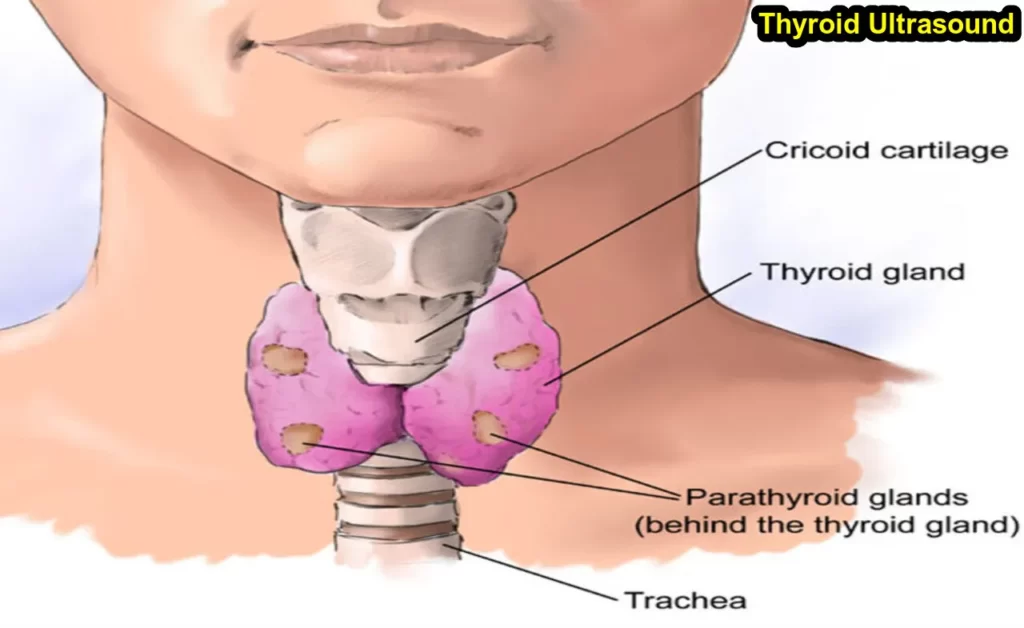 Can a thyroid ultrasound detect cancer?