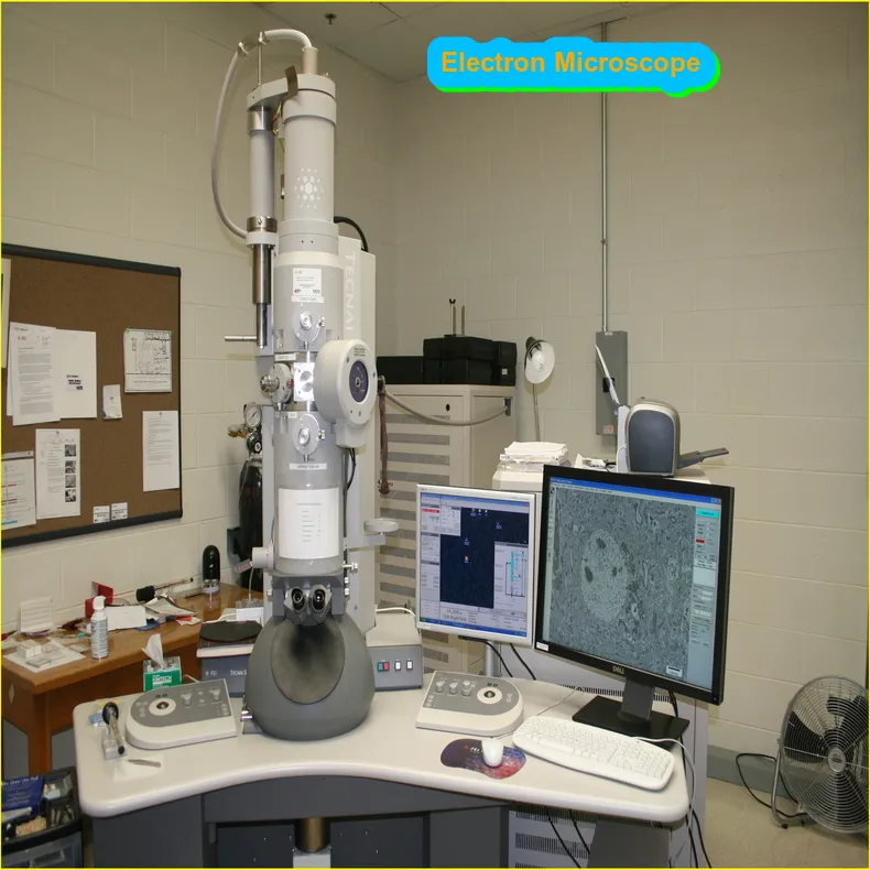 What is Electron Microscope- Definition, Principle, Types, Best Uses23