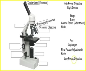 Microscope Labeled