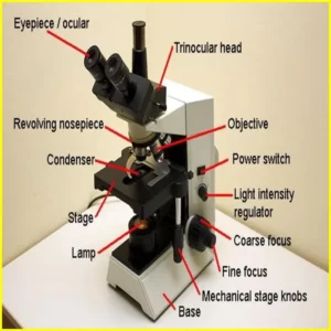 compound microscope parts