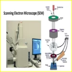 electron microscope price