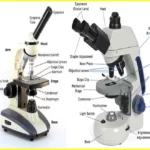 parts of a compound microscope