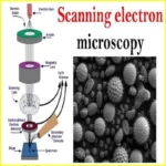 electron Microscope images