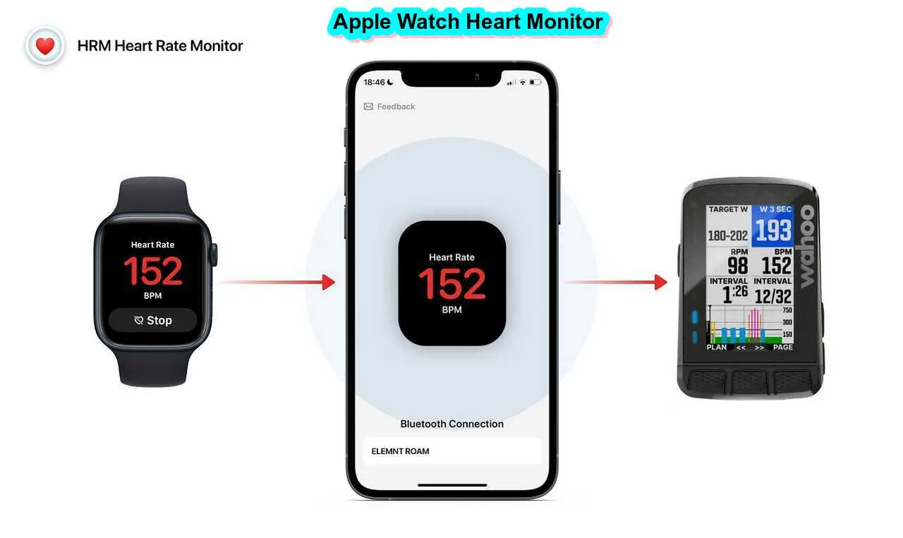 Apple Watch Heart Monitor: Best Review heart rate alert during workout 24